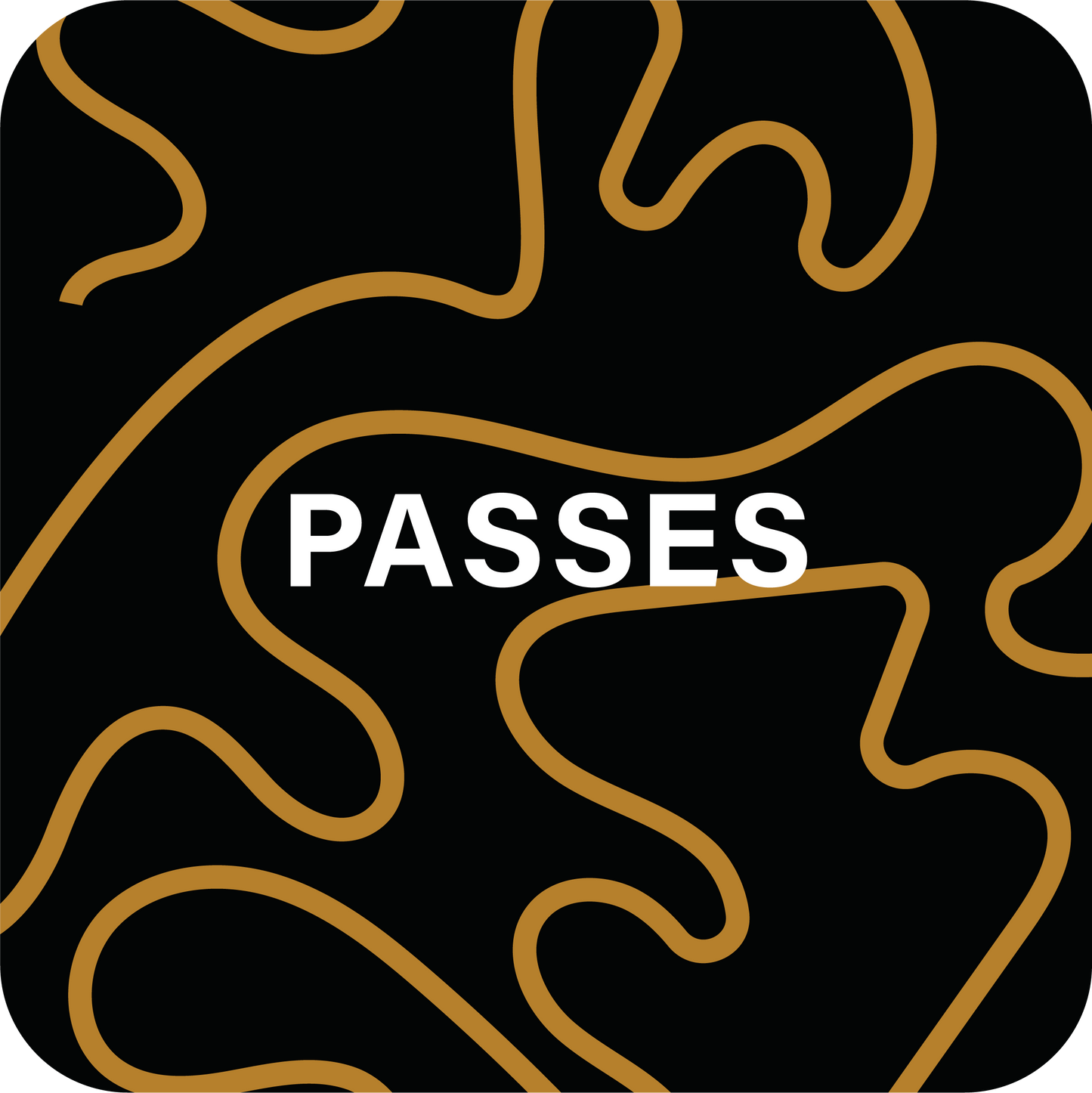 PASSES